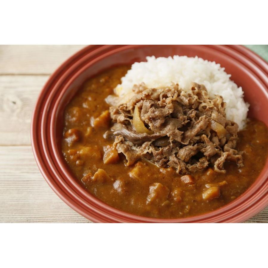 冷凍】吉野家 冷凍牛丼の具 並盛 120g×20袋 肉 夜食 お昼ごはん 冷凍】吉野家 冷凍牛丼の具 並盛 120g×20袋 肉 夜食 お昼ごはん