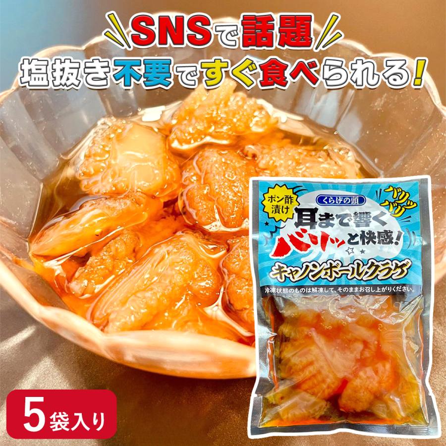 冷凍】 ＼レビューキャンペーン中／ 動画あり ASMR動画で大バズり