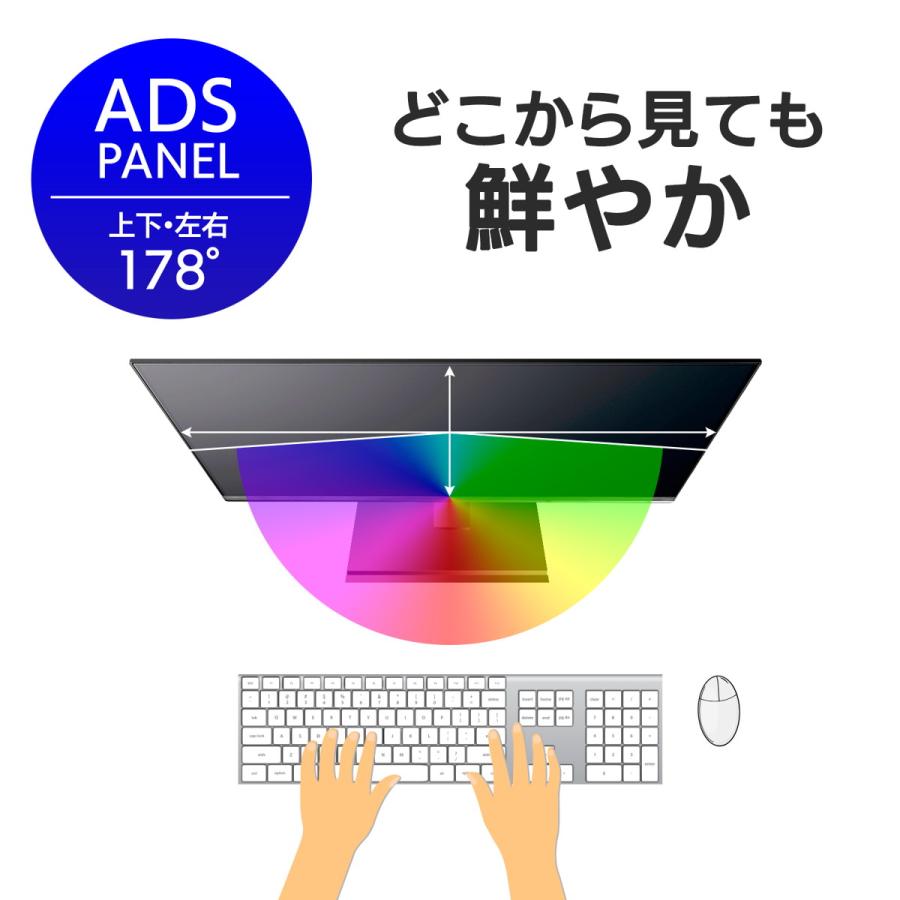 I-ODATA 液晶ディスプレイ 23.8型 広視野角ADSパネル DIOS-LDH241DB-B