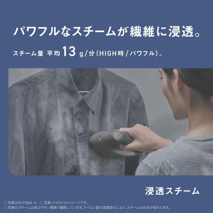 Panasonic パナソニック 衣類スチーマー (カームグレー)【送料