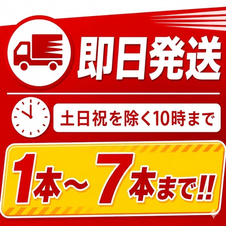 爆買」ALS-3 初田製作所 2026年製 強化液 消火器 3型 蓄圧式 初田