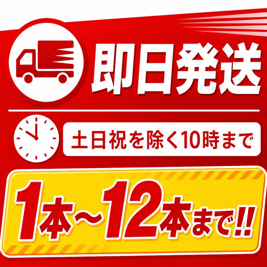 日本ドライケミカル PAN-4A(III) 特価 2025年製 《12本まで最短当日