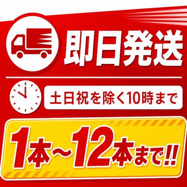 おまとめページ11点⚠️日本製H10B1♡（5/8までお取り置き可能です♡） HATSUTA（ハツタ） PEP-10N 初田製作所 消火器 10型 業務用 ABC火災