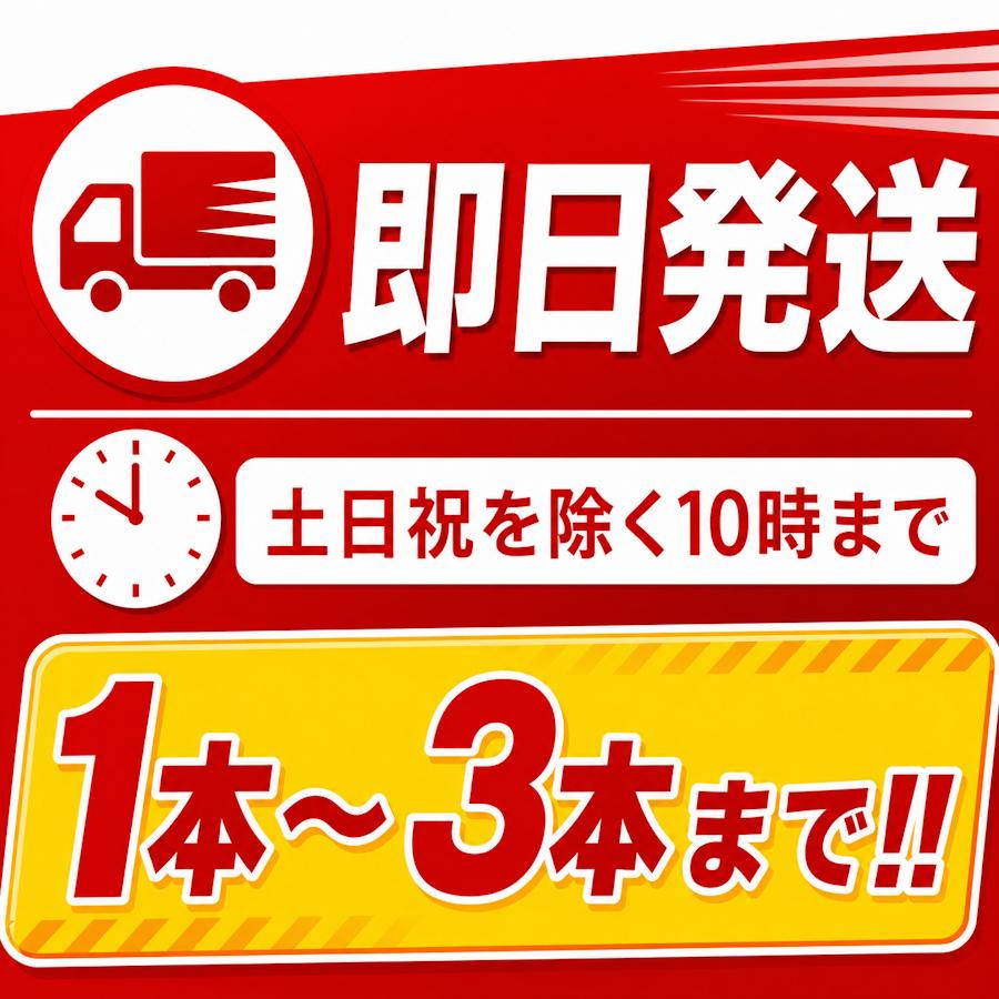 HATSUTA（ハツタ） PWE-3S 初田製作所 《3本迄最短当日発送》消火器 水