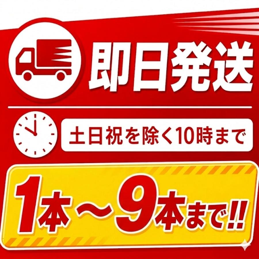 ヤマトプロテック YAM-10XII YAM-10X2 自動車用 消火器 10型 業務用