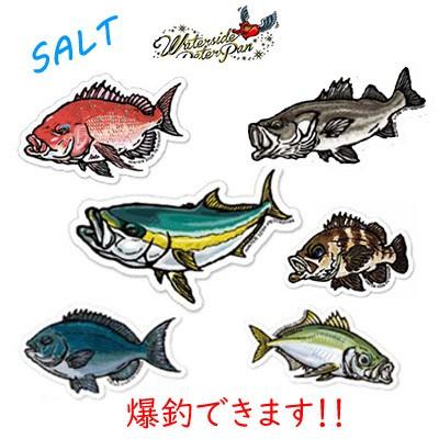 ウォーターサイドピーターパンオリジナルステッカー ソルト 海水魚 Rサイズ Water Side Peterpan Original Sticker Hf Rtb Ab I 彦星フィッシング 通販 Yahoo ショッピング