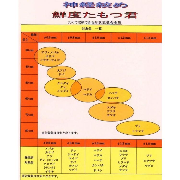 神経絞め キット 吉見製作所 鮮度たもつ君 チヌ・グレ用 Φ0.6mm×45cm 形状記憶合金 4982565001400｜hikoboshi-fishing｜05