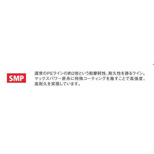 peライン/pe/ バリバス　アバニ　キャスティングＰＥ　ＳＭＰ　5号300ｍ巻きVARIVAS　Avani Casting PE SMP 80lb300m/｜hikoboshi-fishing｜04