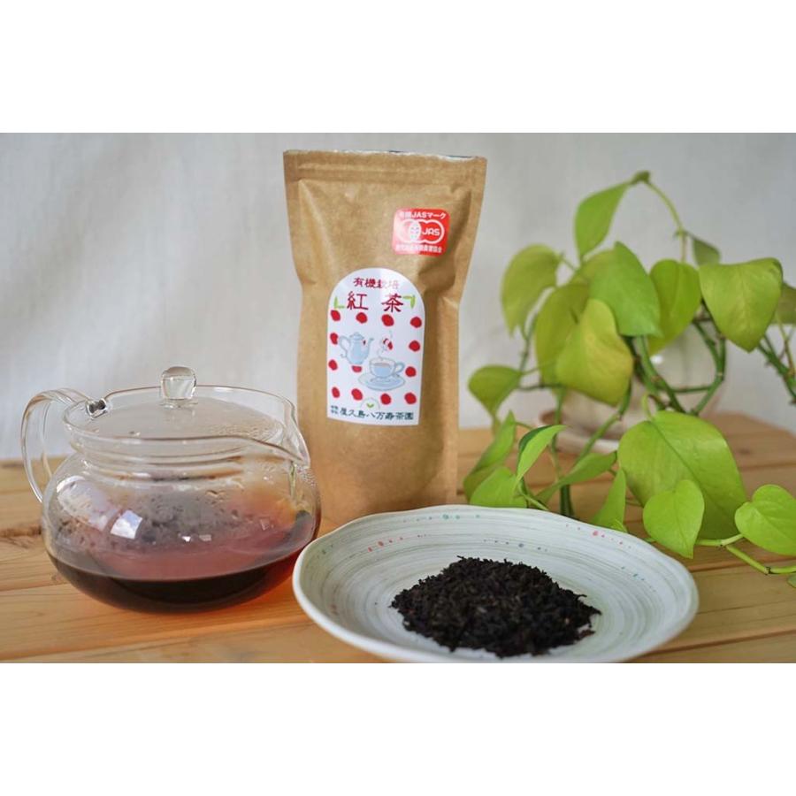 紅茶 和紅茶 屋久島 茶葉 リーフ 60g 国産 無農薬 有機JAS オーガニック 高級｜hikwsi-powata｜02