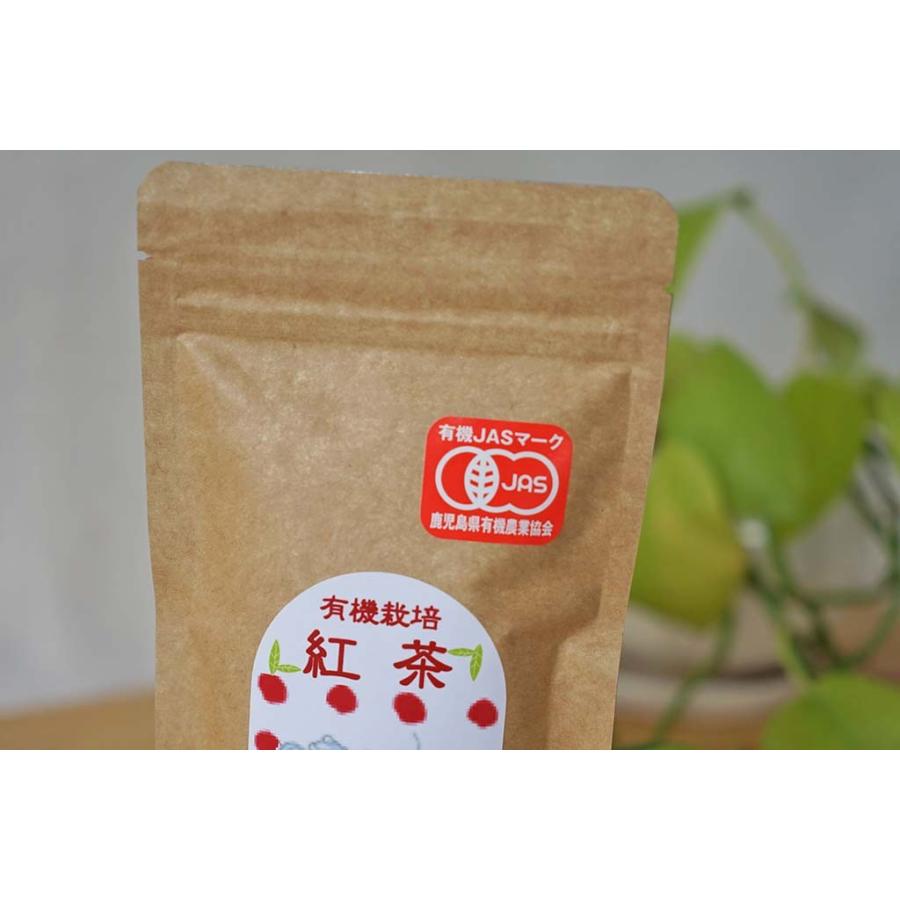 紅茶 和紅茶 屋久島 茶葉 リーフ 60g 国産 無農薬 有機JAS オーガニック 高級｜hikwsi-powata｜03