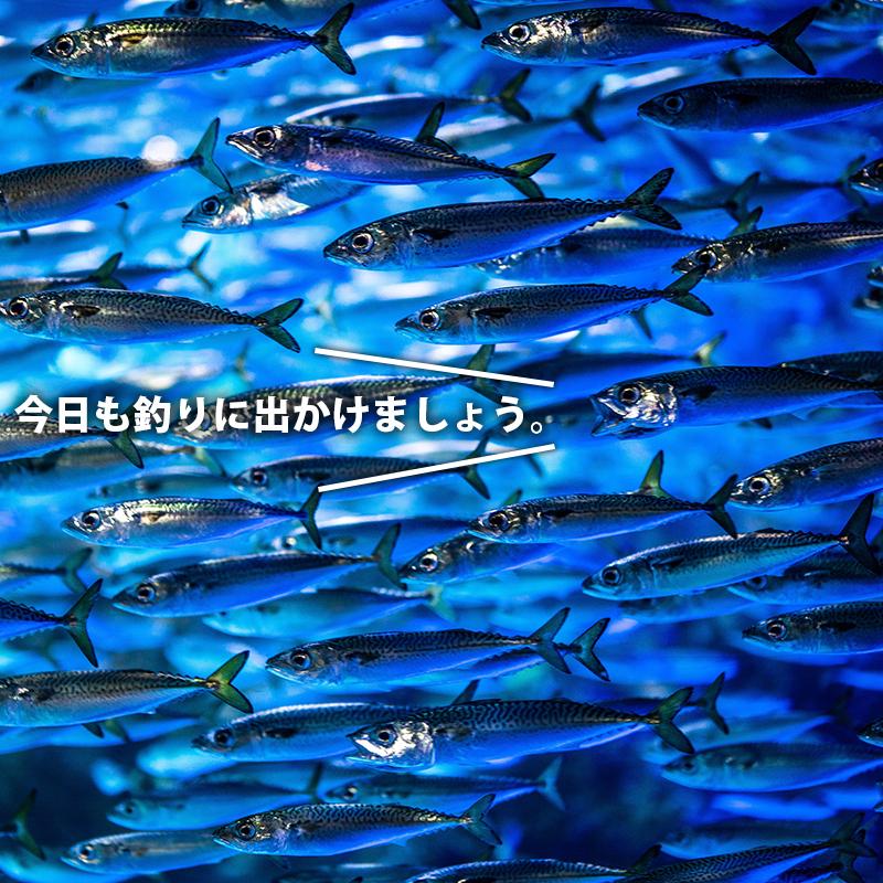 フィッシングベスト フローティングベスト ショア メンズ レディース 大人用 釣り 洗える ベスト フィッシングゲームベスト 釣りのリテイラー Kan Yz Kan ハイカム 通販 Yahoo ショッピング