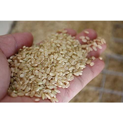 訳ありセール格安 新米検査証明書付玄米 30kg 熊本県 菊池産 ヒノヒカリ 11年連続特a受賞 阿蘇天然水育ち 残留農薬ゼロ 阿蘇天然水仕込み 産地直送 3 ハイライフ 通販 Yahoo ショッピング 代引不可 Blog Lonolife Com