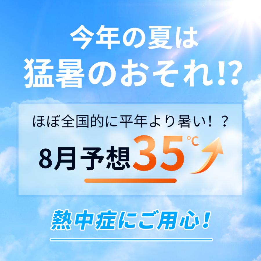 CORRS ネッククーラー ひんやりリング 21℃自然凍結  結露しない コアーズ 冷感グッズ 首もと 冷却 ひんやり 通勤 通学 観戦 男女兼用 夏 熱中症対策 | CORRS | 08