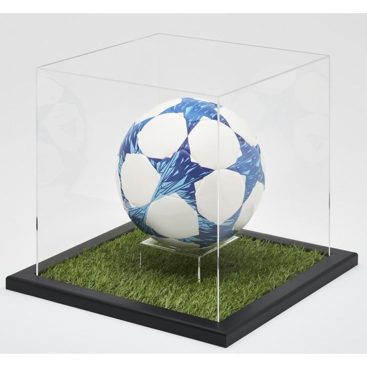 報徳学園　ボールケース 報徳学園 ボールケース