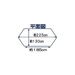 手洗い可能ワンタッチ大人用蚊帳かや日本製 : ヒマラヤネット 総本家