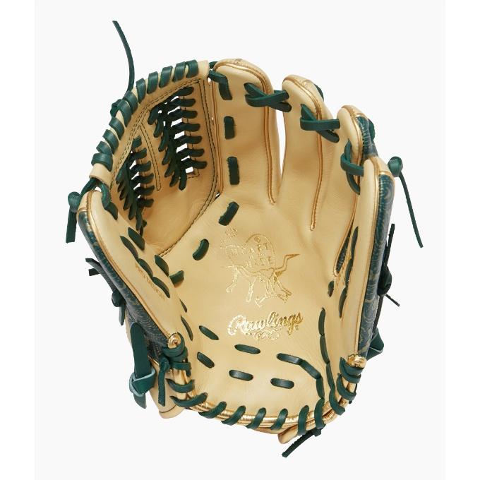 ローリングス Rawlings 野球 一般軟式グラブ オールラウンド ローリングス Rawlings 野球 一般軟式グラブ オールラウンド