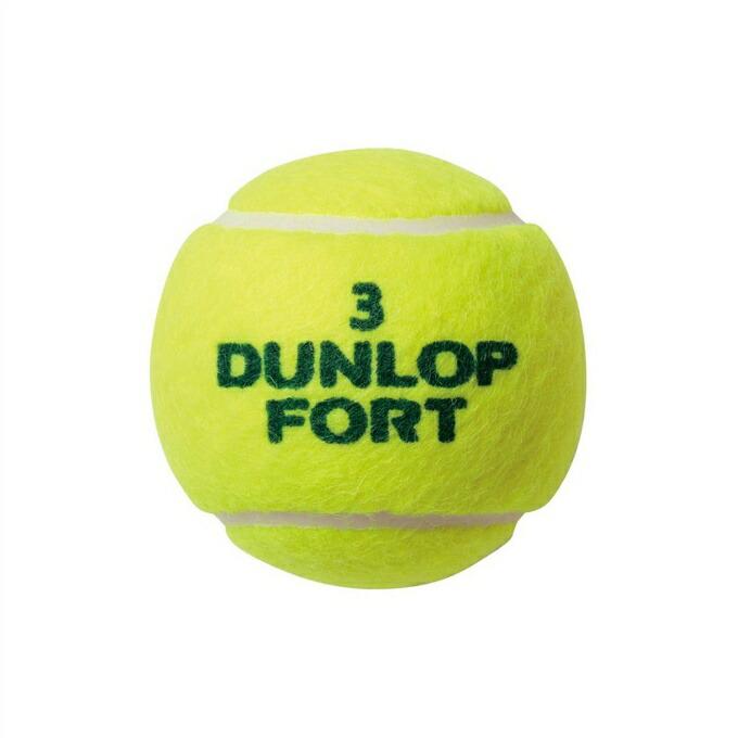 ダンロップ DUNLOP 硬式テニスボール 公認球 フォート2球 FORT 