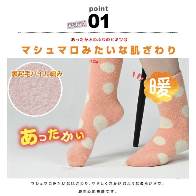 ホカロン 【メール便送料無料】 HOKARON ソックス レディース 2P