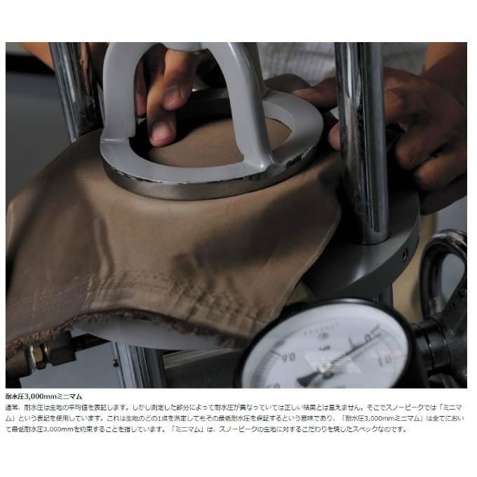 snow peak（スノーピーク） ヘキサタープ ポール付き HDタープシールド