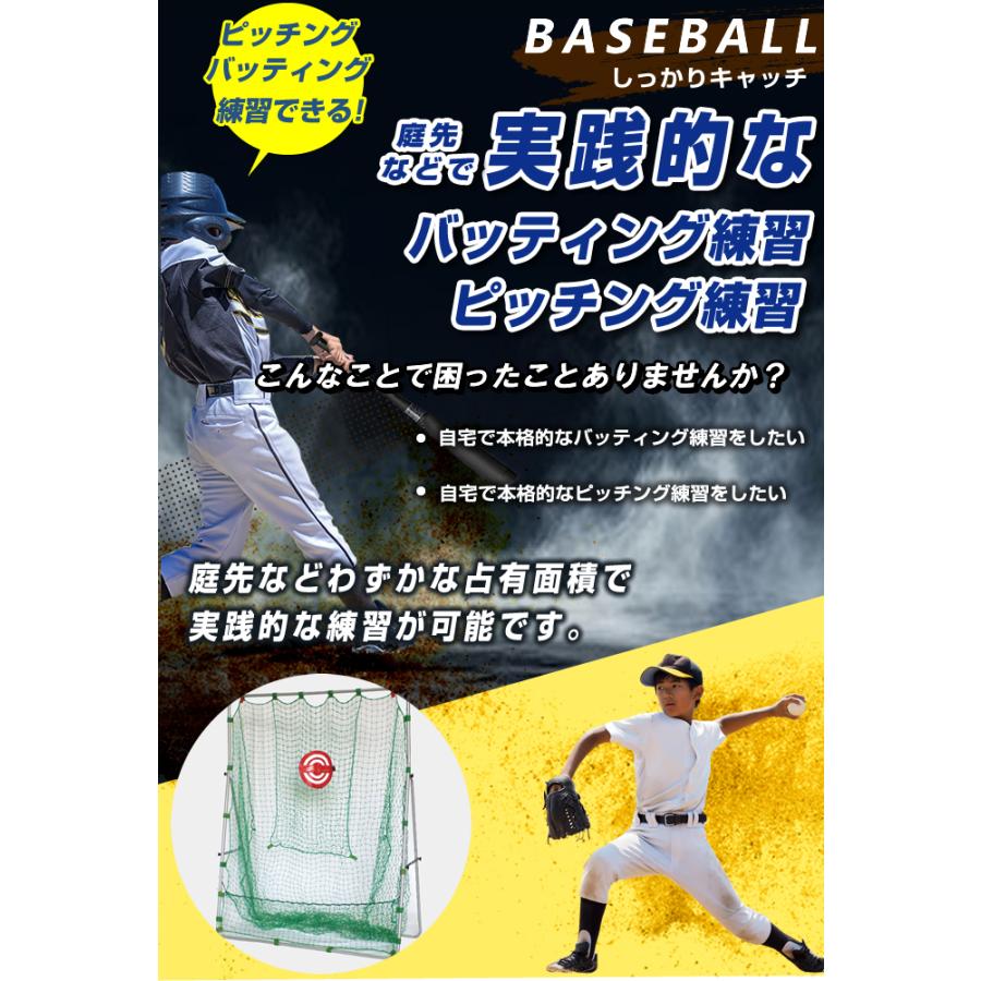 【半年保証付】 フィールドフォース 野球 練習器 バッティングネット2.0×1.6m ターゲット付き FBN-2016N2 FIELDFORCE｜himaraya｜02