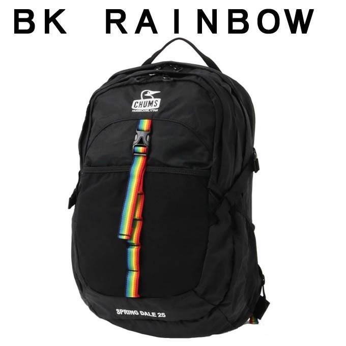 チャムス リュックサック 25L メンズ レディース スプリングデール25 CH60-2216 CHUMS 日帰り登山 バックパック バッグ｜himaraya｜08