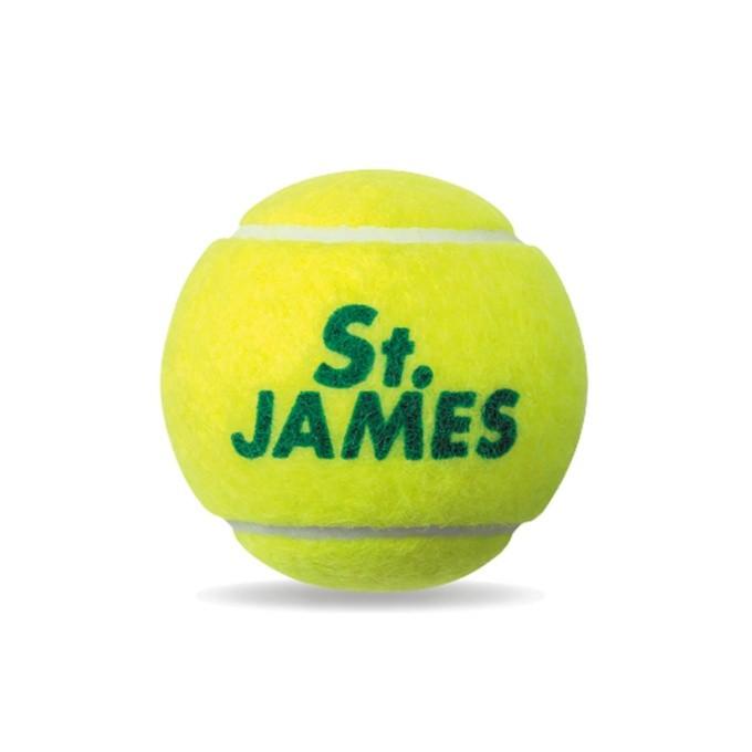 ダンロップ 硬式テニスボール １缶 4球 STJAMES STJAMES I 4 TIN セントジェームス DUNLOP