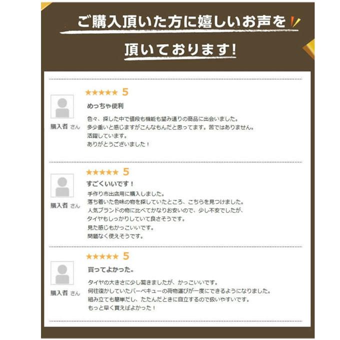 アウトドアワゴン ワイドホイールキャリーワゴン VP160309I03 ビジョンピークス VISIONPEAKS 大容量 収束式 折りたたみ キャリーカート キャリーワゴン | VISIONPEAKS | 01