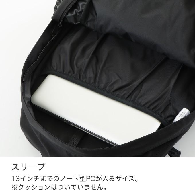 THE NORTH FACE（ザ ノースフェイス） リュックサック 23L メンズ