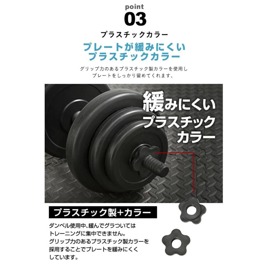 VISION QUEST（ビジョンクエスト） ダンベル PEダンベル10kg