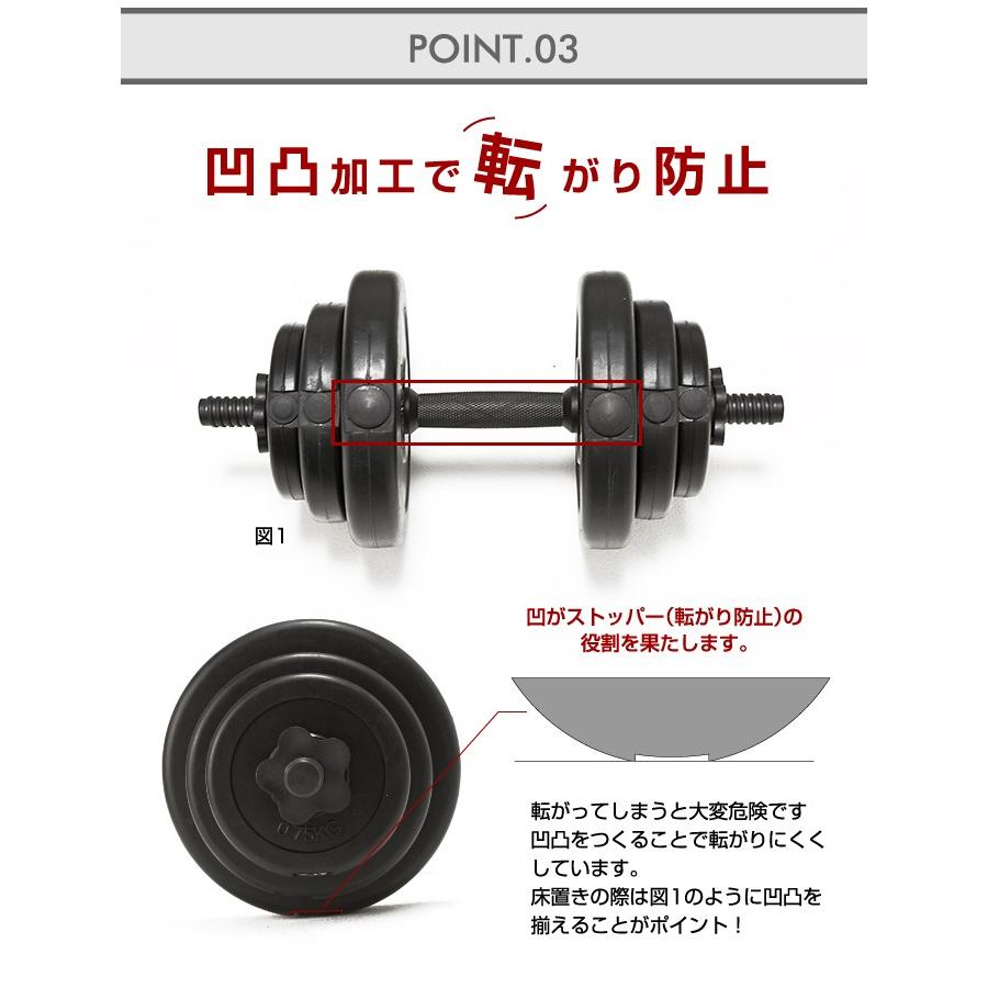 VISION QUEST（ビジョンクエスト） ダンベル PEダンベル10kg 2個セット