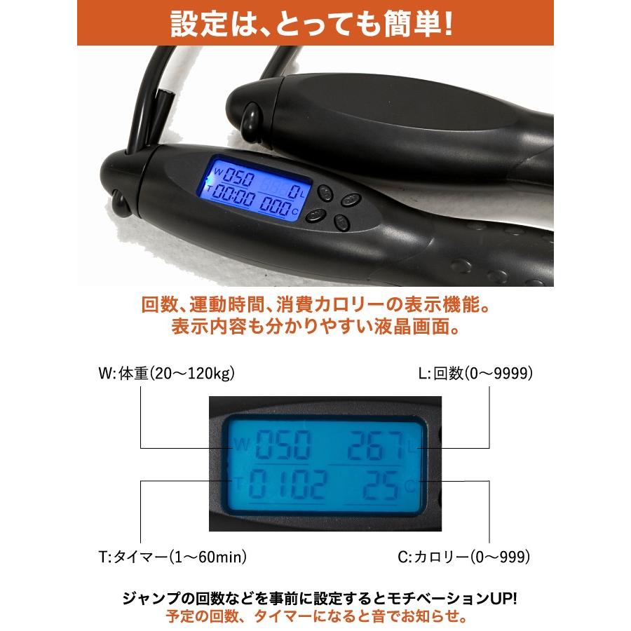 VISION QUEST（ビジョンクエスト） なわとび エア縄跳び VQ580101I04