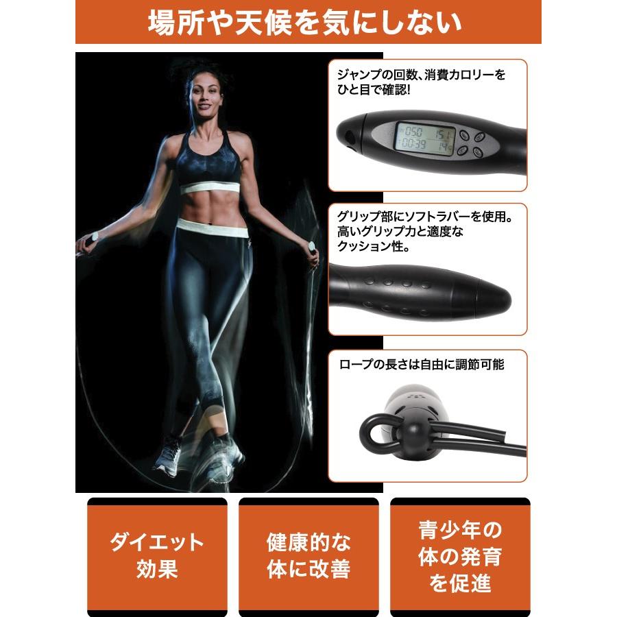 VISION QUEST（ビジョンクエスト） なわとび エア縄跳び VQ580101I04