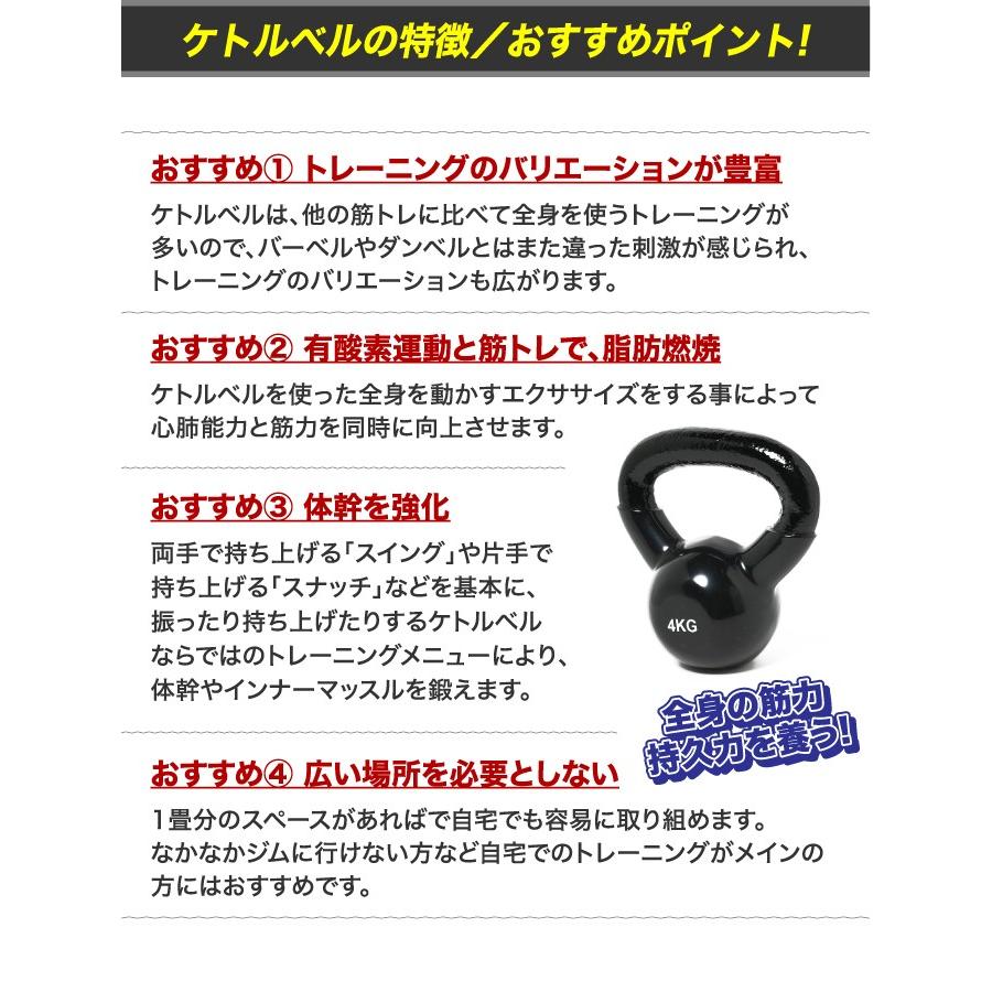 VISION QUEST（ビジョンクエスト） ケトルベル ケトルダンベル 8kg