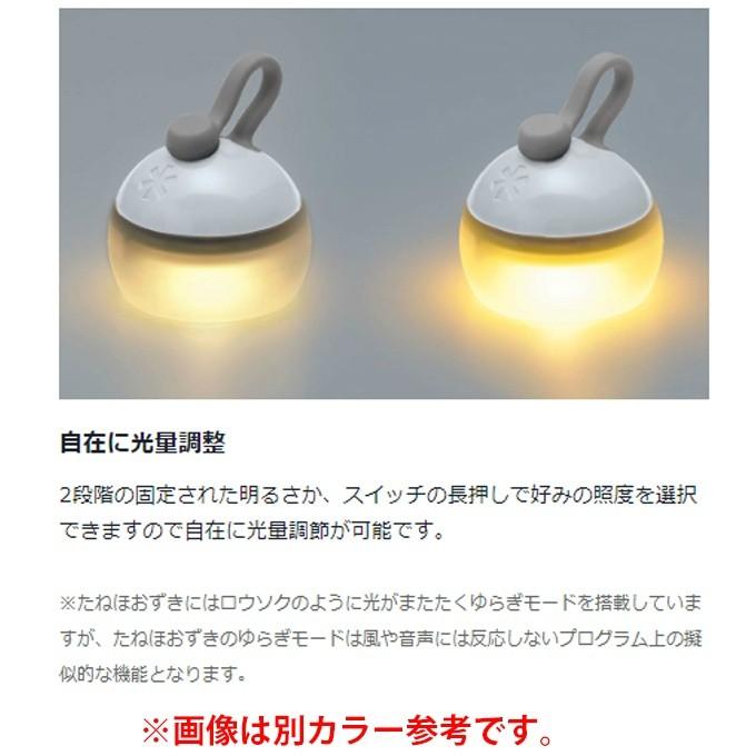 snow peak（スノーピーク） LEDランタン たねほおずき もり ES-041GR