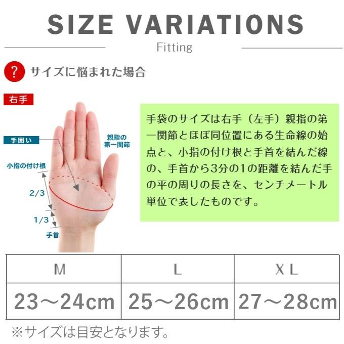 GOLDWIN（ゴールドウイン） スキーグローブ ミトン レザーグローブ