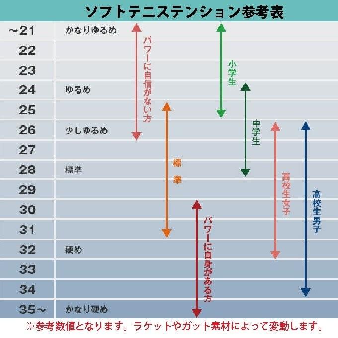 MIZUNO ミズノ ソフトテニスラケット 後衛向け DIOS 10-C MIZUNO ミズノ ソフトテニスラケット 後衛向け DIOS 10-C