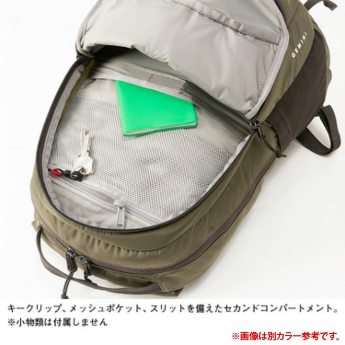 THE NORTH FACE（ザ ノースフェイス） リュックサック 22L メンズ