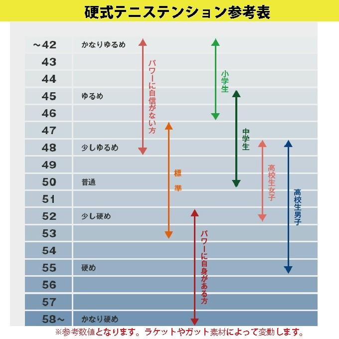 スノワート 硬式テニスラケット VITAS 100 Tour ビダス100ツアー