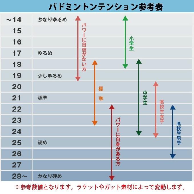 ミズノ バドミントンラケット FORTIUS 20 フォルティウス 73JTB02145 MIZUNO｜himaraya｜04