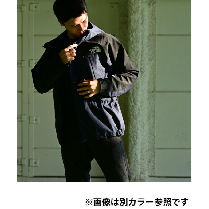 THE NORTH FACE ザ・ノース・フェイス マウンテンパーカー メンズ