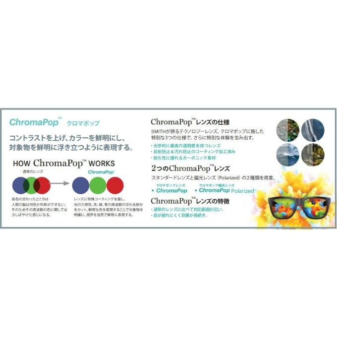 スミス SMITH 偏光サングラス ピンポイント Pinpoint Matte Tortの画像