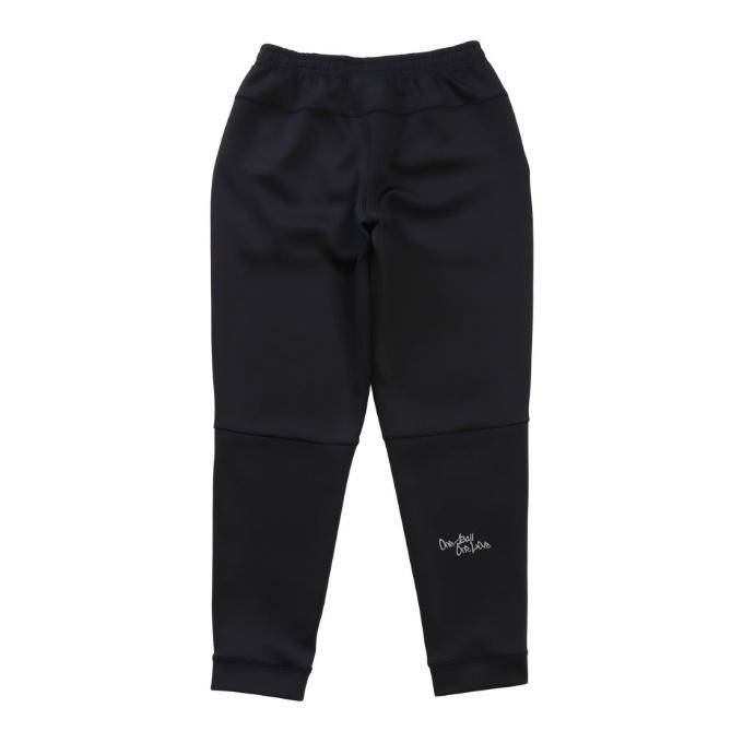 チャンピオン Champion スウェットパンツ メンズ テックウィーブ 3LSハーフジップスウェットパンツ E-MOTION C3-UB210-090|himaraya|02