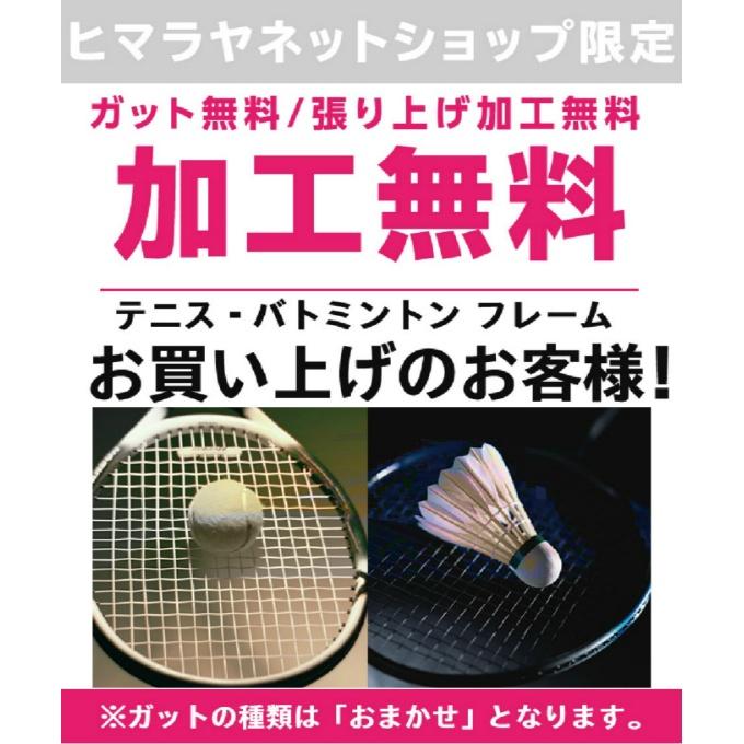 バボラ Babolat 硬式テニスラケット ピュアストライク103 101451J｜himaraya｜08