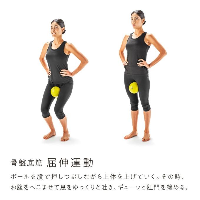 エルガム erugam エクササイズ用ポール 骨盤底筋しまり 54174