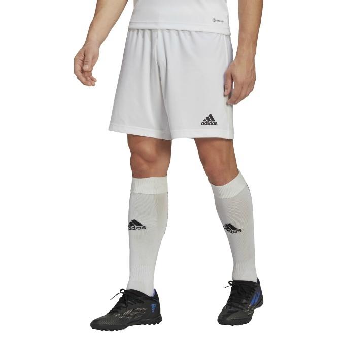 アディダス サッカーウェア ゲームパンツ メンズ ENTRADA22 ショーツ HG6295 TG216 adidas :0000001024240:ヒマラヤ Yahoo!店 - 通販 - Yahoo!ショッピング アディダス サッカーウェア ゲームパンツ メンズ ENTRADA22 ショーツ HG6295 TG216 adidas :0000001024240:ヒマラヤ Yahoo!店 - 通販 - Yahoo!ショッピング