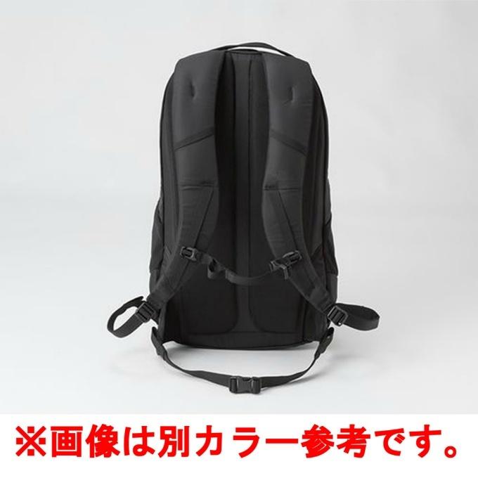 ザ・ノース・フェイス リュックサック 22L メンズ レディース ジェミニ 