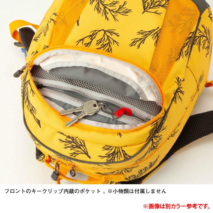 THE NORTH FACE（ザ ノースフェイス） リュックサック 22L ジュニア