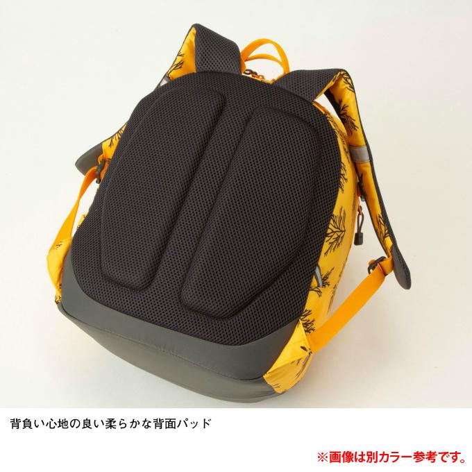 THE NORTH FACE（ザ ノースフェイス） リュックサック 22L ジュニア