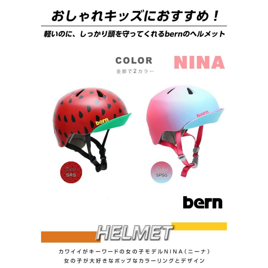 本 ナポレオンヒルPMAプログラムSDカード