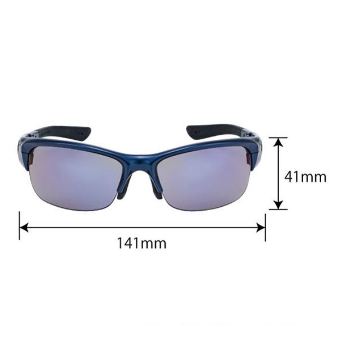 SWANS（スワンズ） 偏光サングラス メンズ レディース スプリング